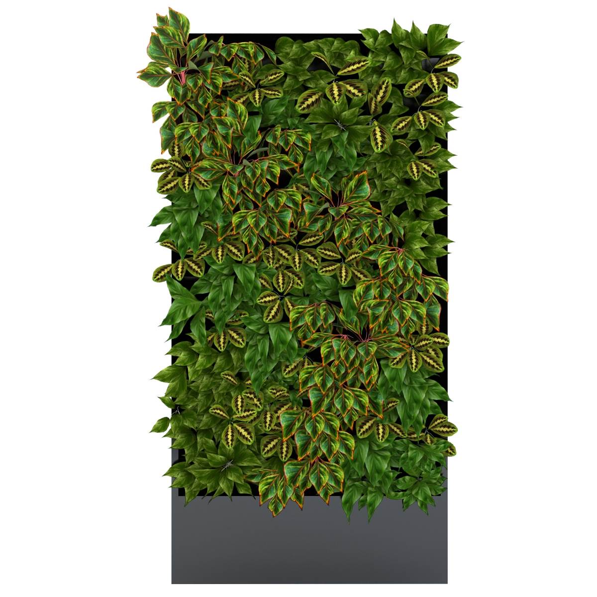 3d plant wall Model 16 free download (2)