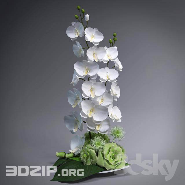 3dSkyHost: 3d Plant Model 52 Free Download