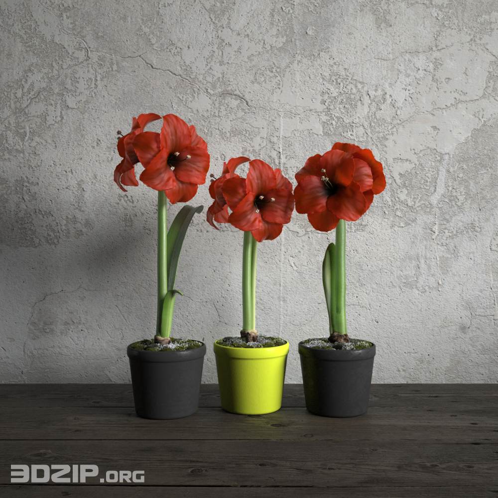 124_3d plant Model free download [3DZIP.ORG]