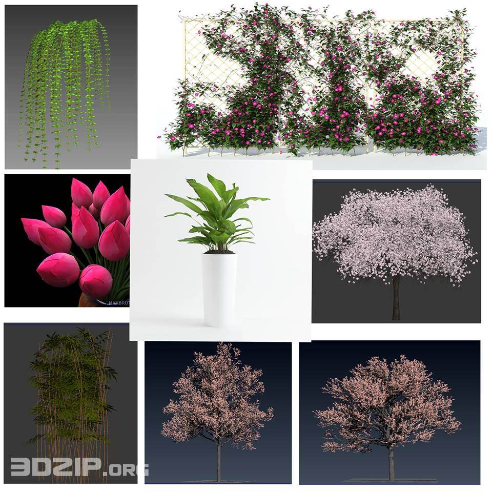 3d plant Model 144 free download