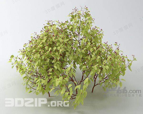 3d plant Model 150 free download