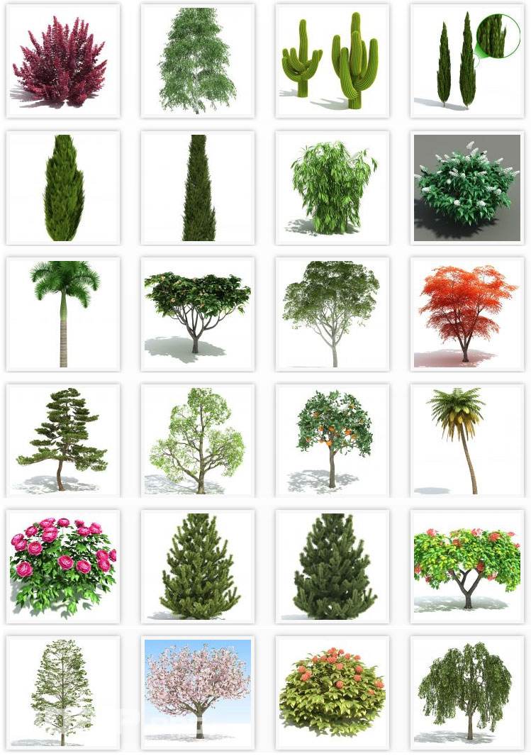 Free plant models for GrowFX by 3D-Kstudio