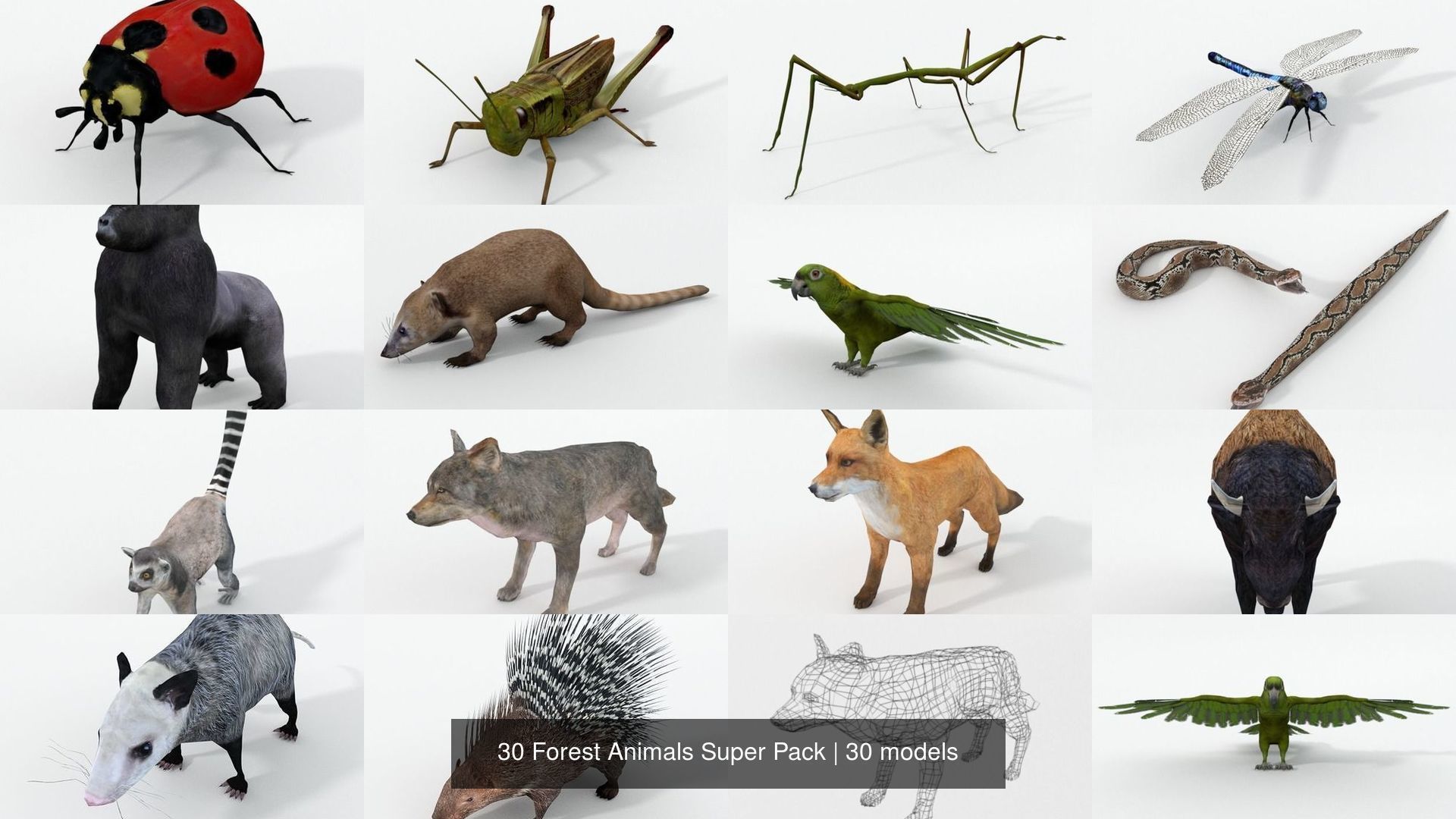 3d Model 30 Forest Animals Super Free Download 2  - 3D Model  Free Download