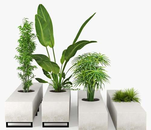 3d Plants Model 311 Free Download
