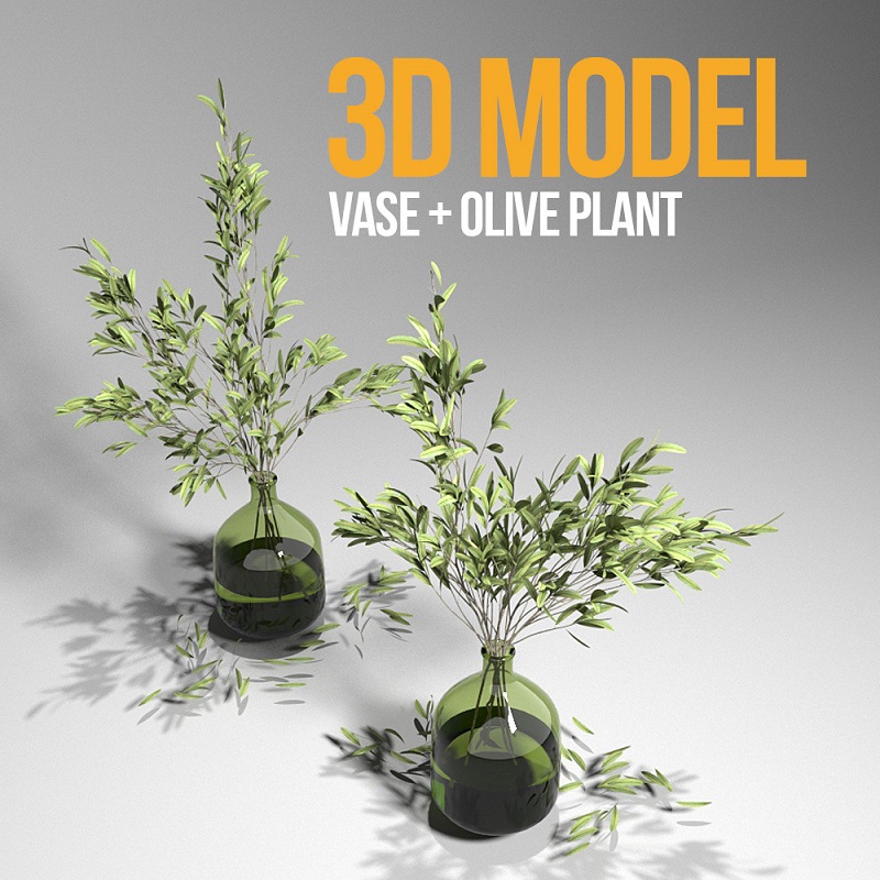 3d Vase Olive Plant Model 391 Free Download 3d Vase Olive Plant