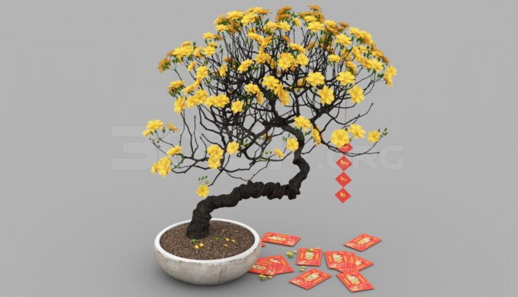 494. Download Free Plant Model By Minh Nhut