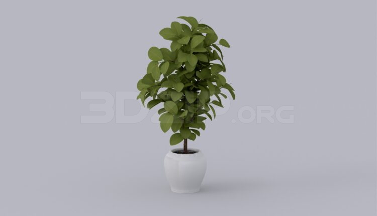 578. Download Free Plant Model By Huy Hieu Lee