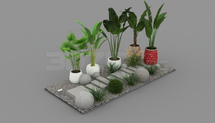 679. Download Free Plant Model By Nguyen Ha