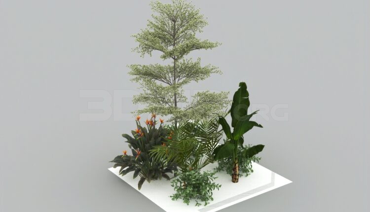 685. Download Free Plant Model By Tuong Bui