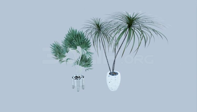 692. Download Free Tree Model By Tuan An
