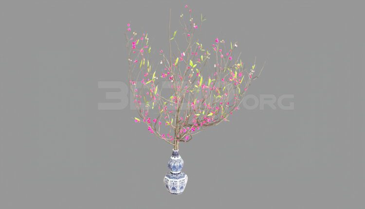 4107. Free 3D Peach blossom Plant Model Download