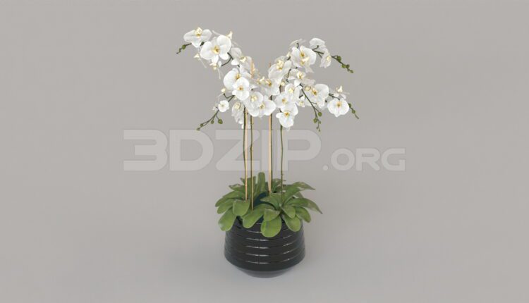 4692. Free 3D Flower Model Download