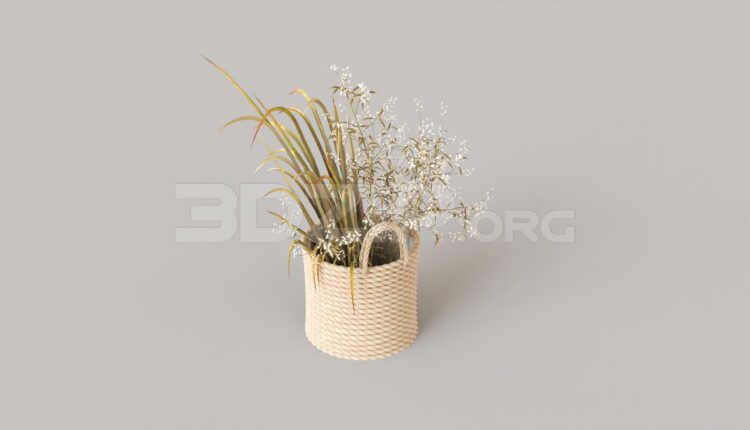 4749. Free 3D Plant Model Download