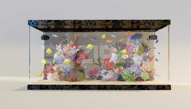 11306. Free 3D Aquarium Model Download