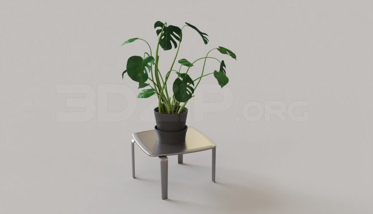 5418. Free 3D Plant Model Download