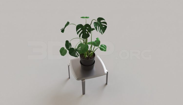 5418. Free 3D Plant Model Download