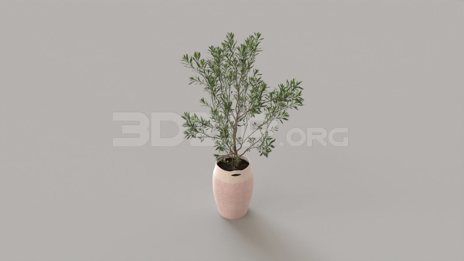 Plants Free 3D Models download